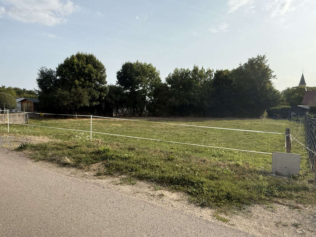 Photo 3 - Terrain à VENDENESSE-SUR-ARROUX