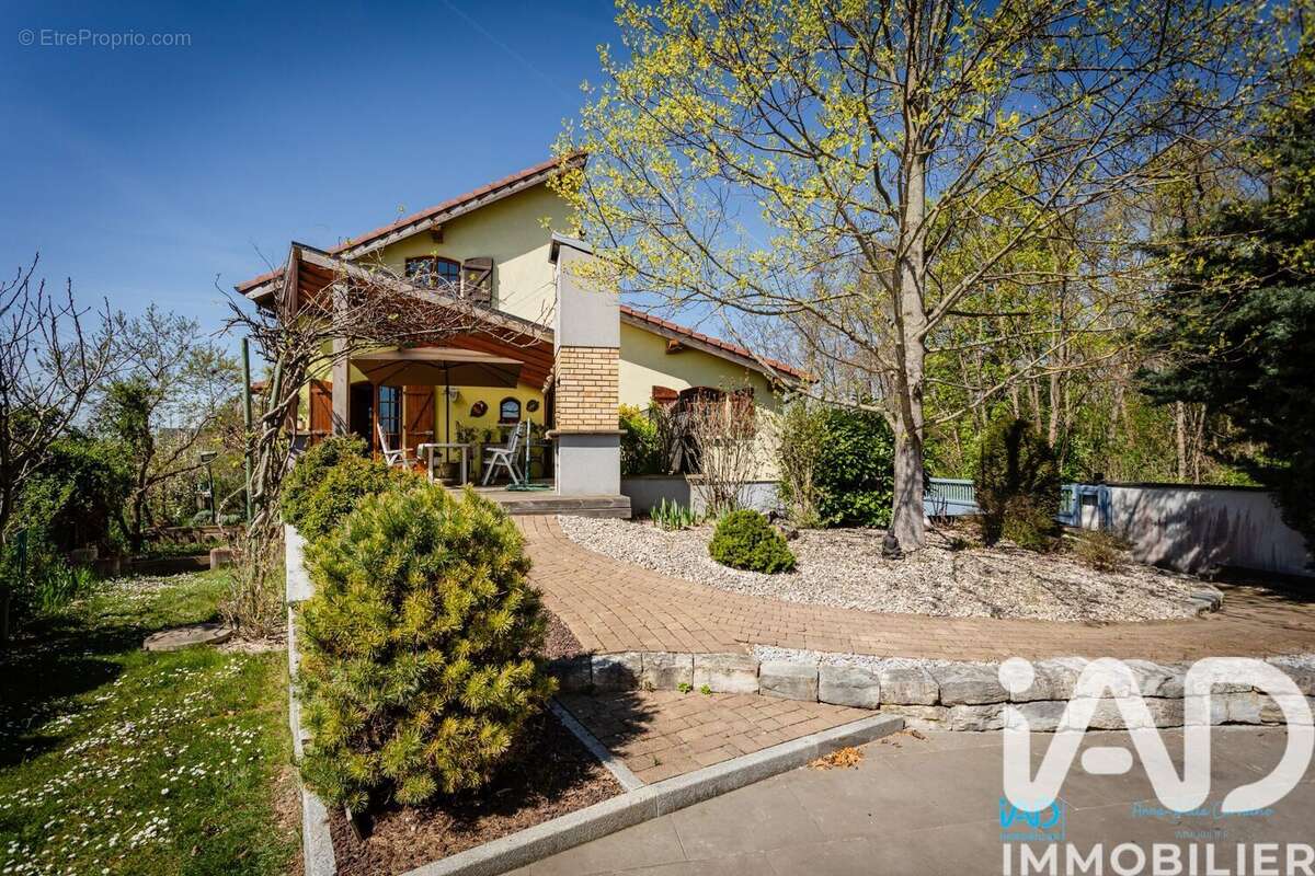 Photo 3 - Maison à ALGOLSHEIM