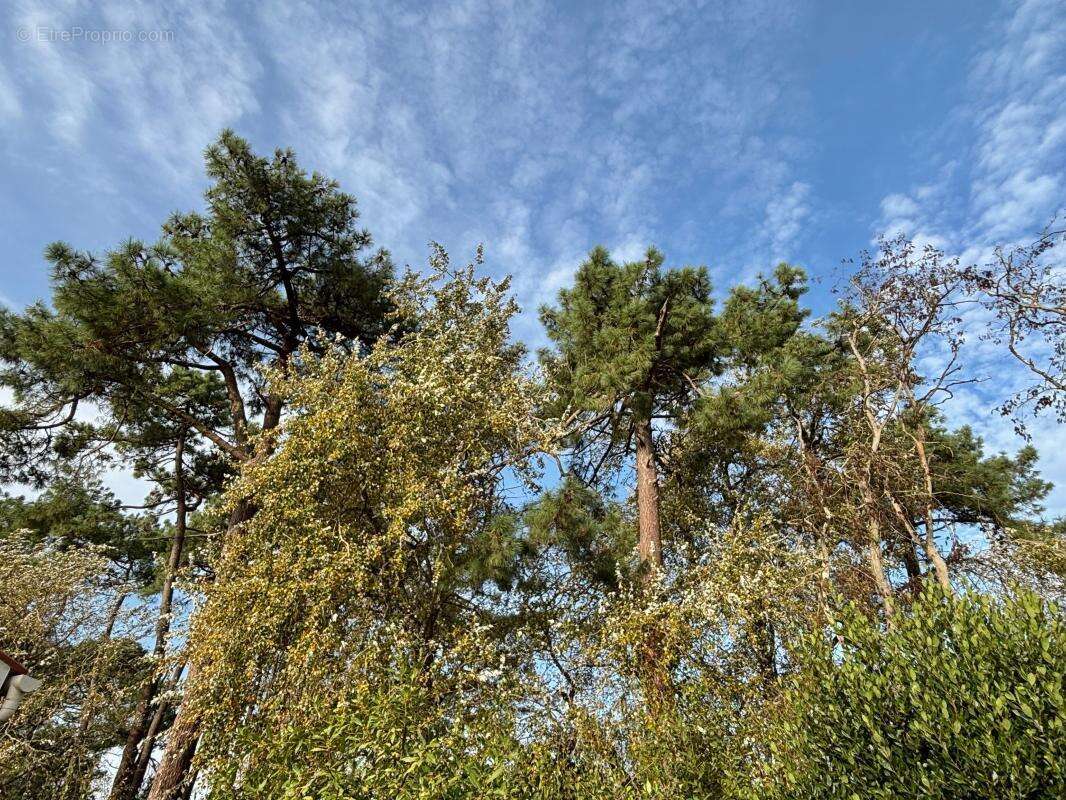 Maison à LE GRAND-VILLAGE-PLAGE