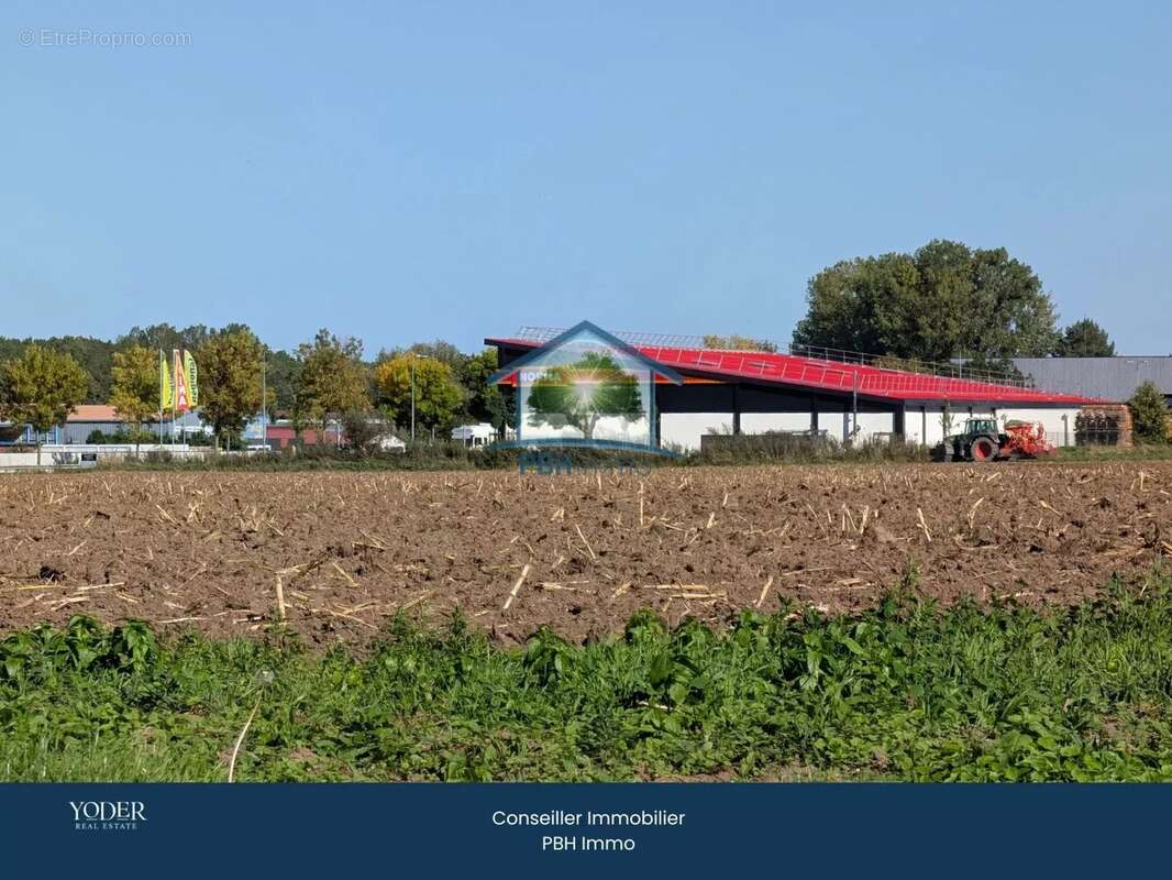 Maison à NIEDERMODERN