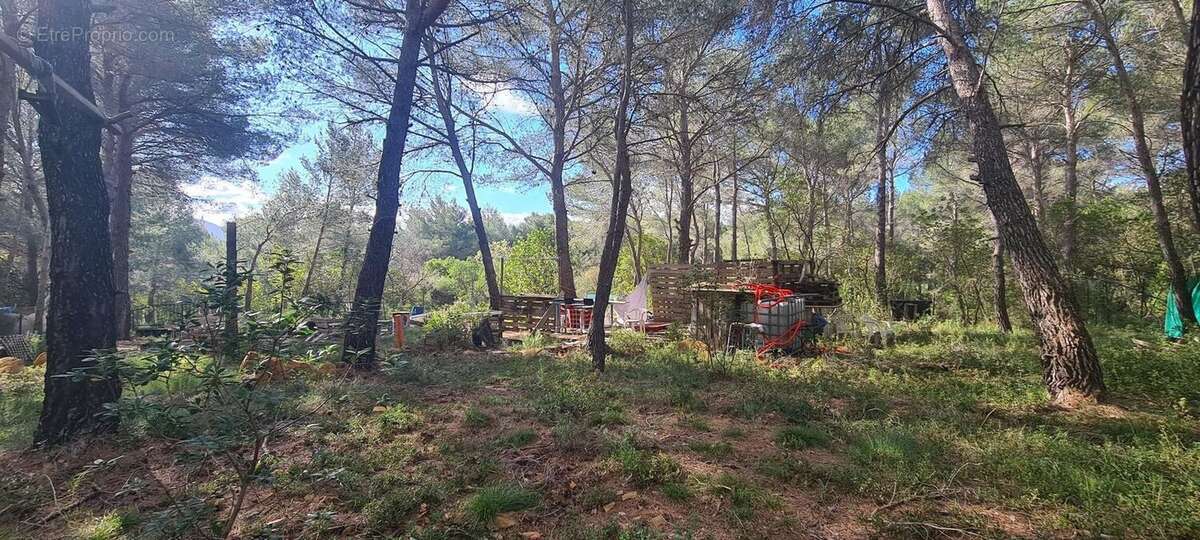 LE BEAUSSET-TERRAIN 690M²-NON CONSTRUCTIBLE-A VENDRE-NATURE ET - Terrain à LE BEAUSSET