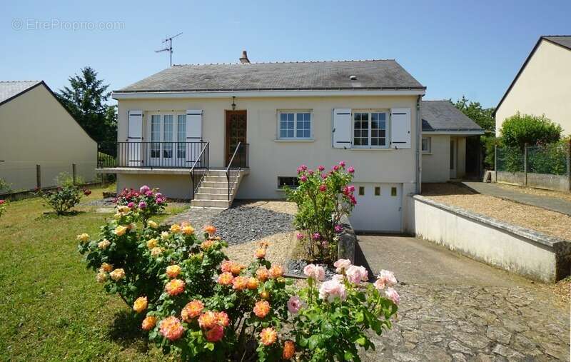 Maison à MONTREUIL-BELLAY