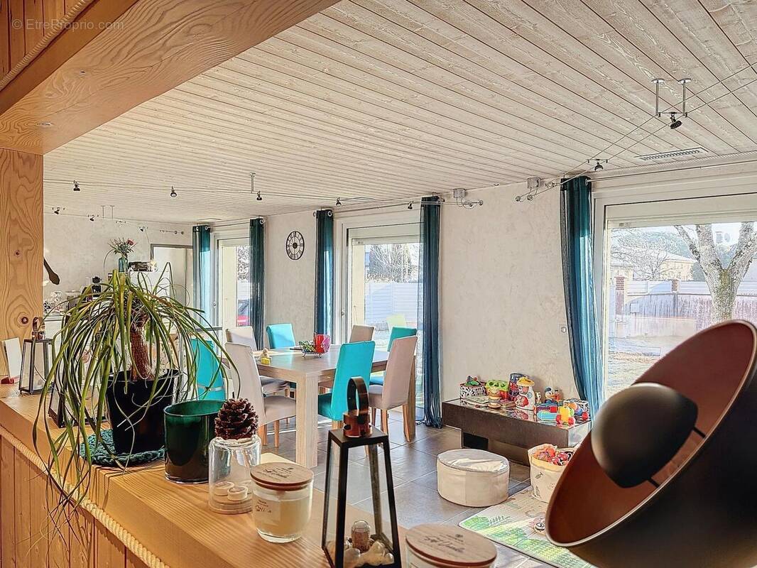 Photo 1 - Maison à LA SALVETAT-SAINT-GILLES