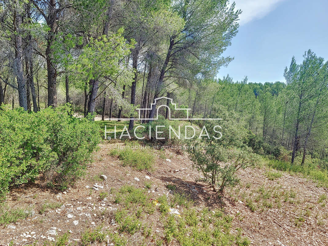 Entre oliviers garrigue et pinède à 12 minutes d'Aix - photo 5