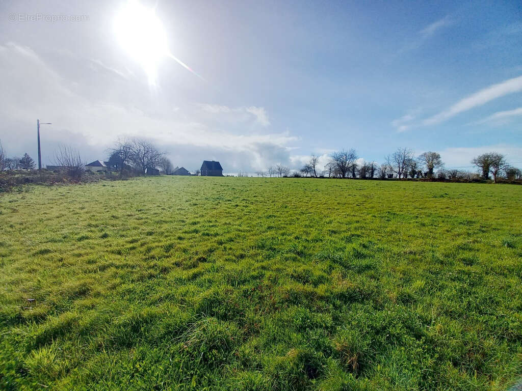 Terrain à SAINT-PIERRE-DES-LANDES