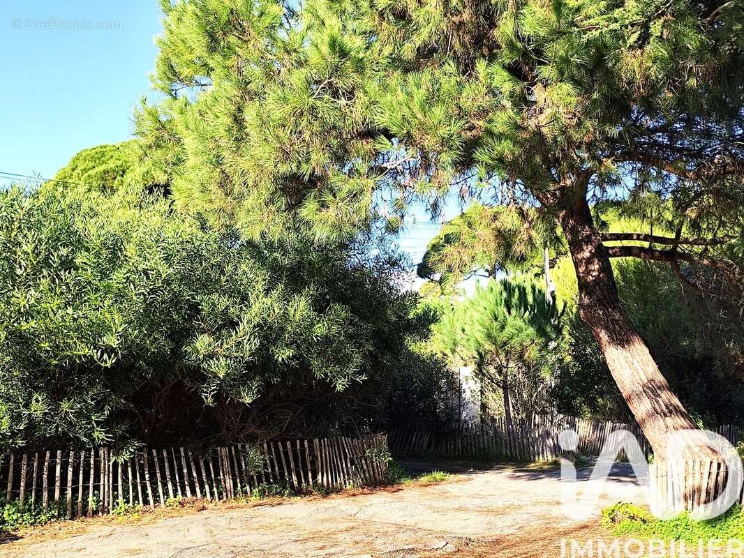 Photo 3 - Maison à HYERES