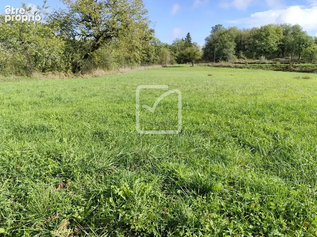 Terrain en partie constructible, dans un environnement paisibe - photo 1