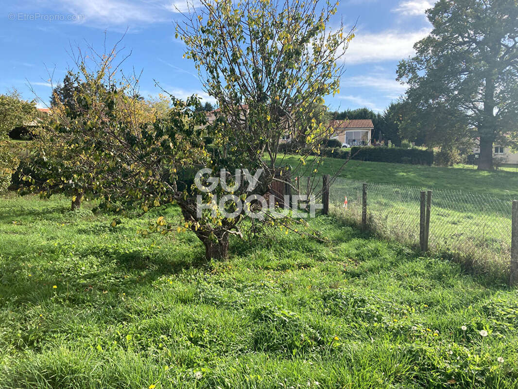 Terrain à SAINT-MARTIN-LESTRA