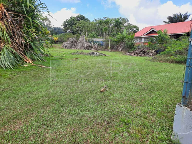 PHOTO-2025-11-13-11-14-04_lzn - Appartement à MATOURY