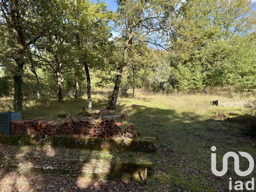 Photo 7 - Maison à AUBAS