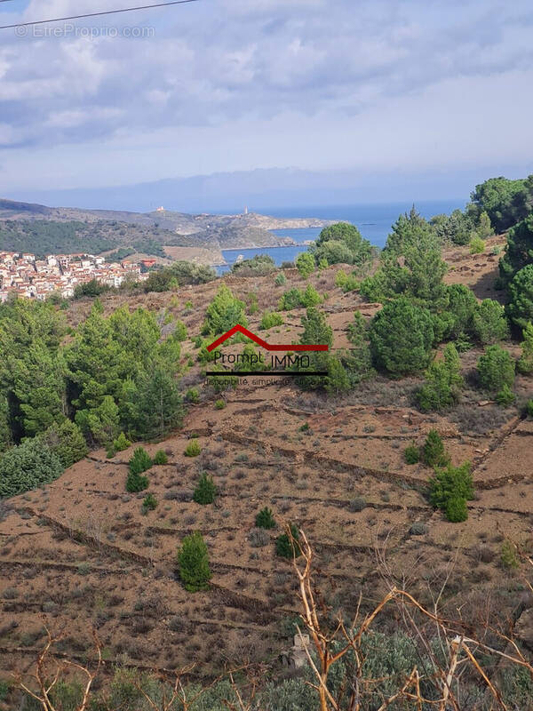 Terrain à BANYULS-SUR-MER