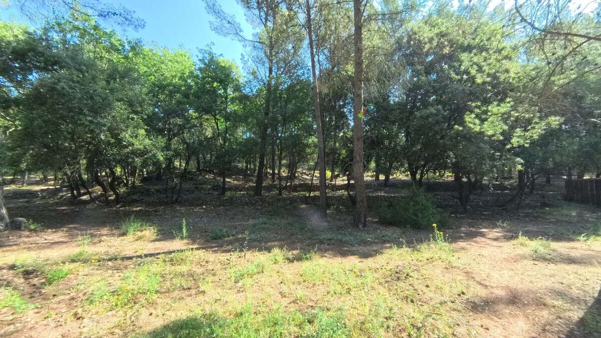 Terrain à SILLANS-LA-CASCADE