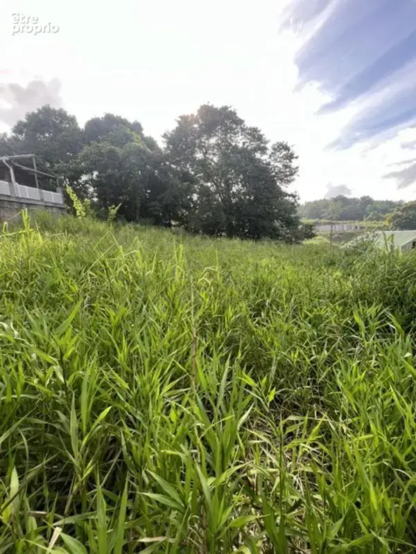 A vendre terrain de 1639m² quartier habitation grande savane ducos - photo 2