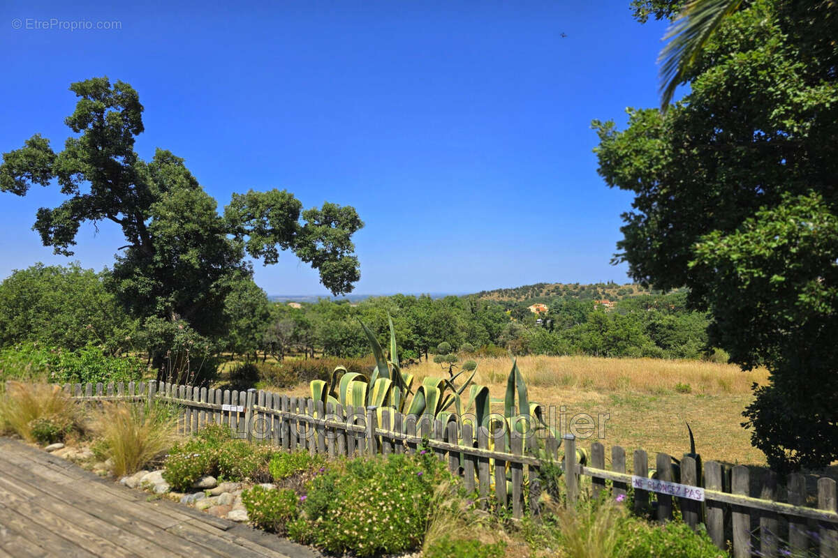 Maison à MONTESQUIEU-DES-ALBERES