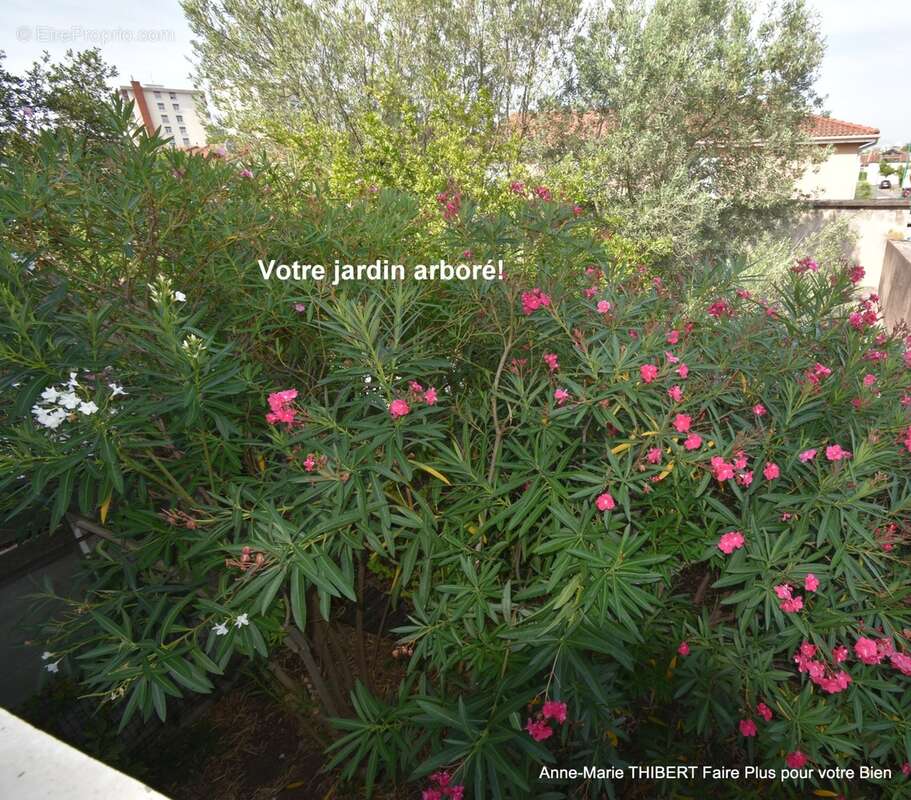 Maison à vendre 6 pièces VILLEURBANNE (69) - photo 29