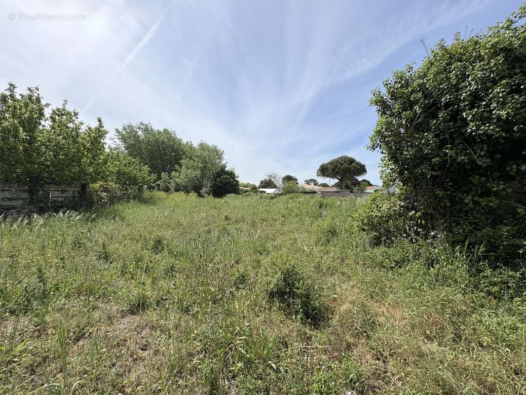 Terrain à NOIRMOUTIER-EN-L'ILE