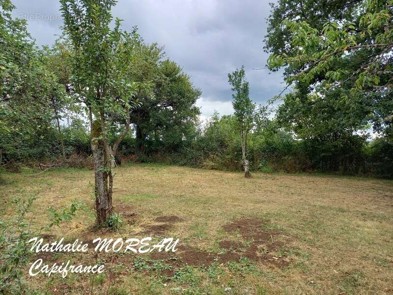 Fermette a vendre sur la commune de DIANCEY - Idéal gite, chambre d'hôtes, maison familiale - photo 42