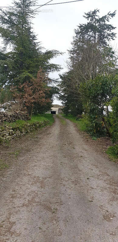 Maison à MONTAIGU-DE-QUERCY