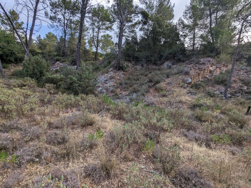 Terrain à LE LUC
