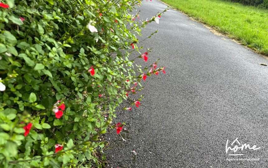 Maison à SAINT-THONAN