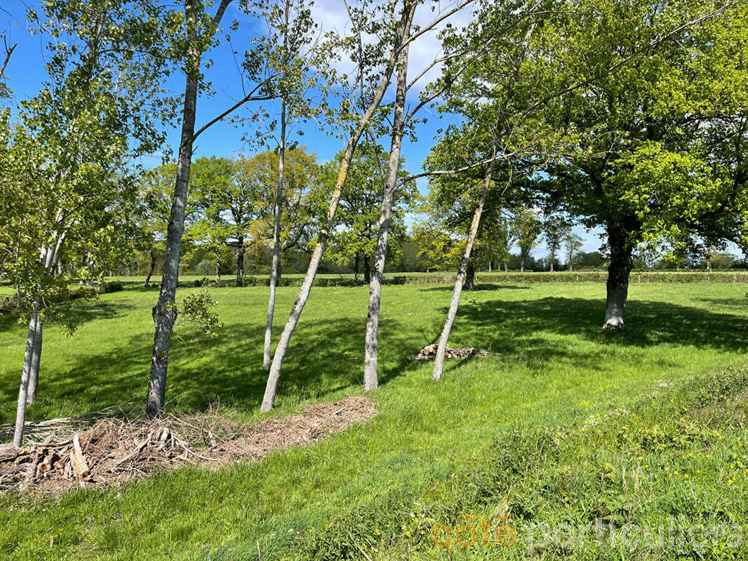 Terrain à VESDUN