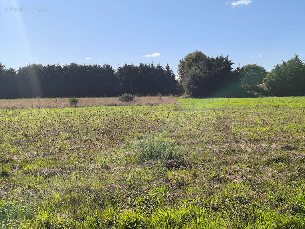 Terrain à COMMEQUIERS