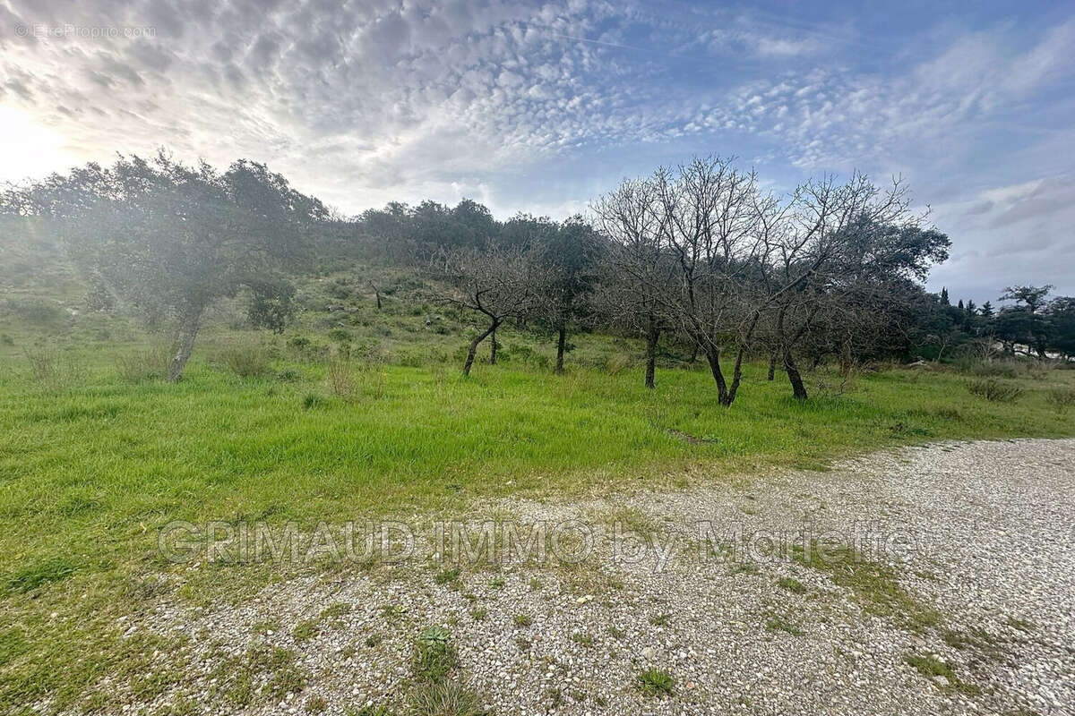 Terrain à GRIMAUD
