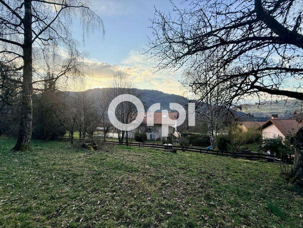 Terrain à LA CHAPELLE-DU-BARD