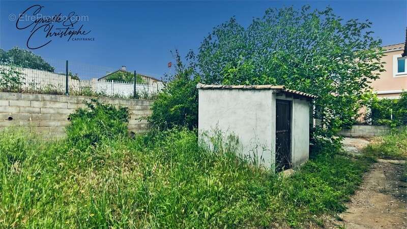 Maison à FRONTIGNAN