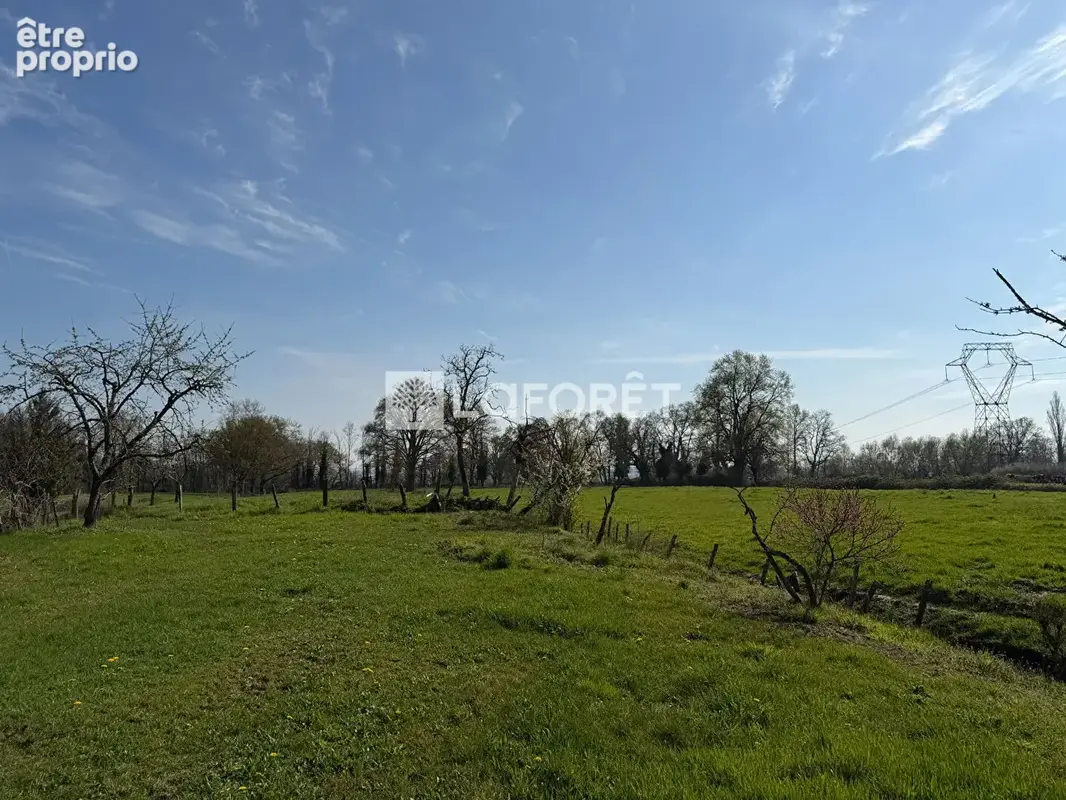 Corps de ferme à vendre Saint Jean Sur Veyle 4 pièce(s) 420 m2 - photo 5