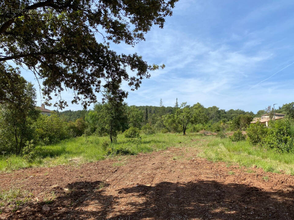 Terrain à SOLLIES-PONT
