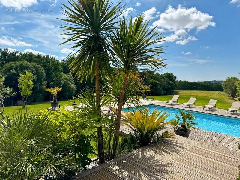 Maison à PEYREHORADE