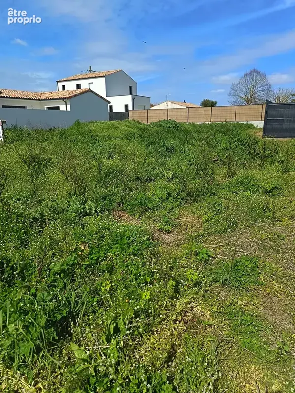 Terrain à CIRE-D'AUNIS