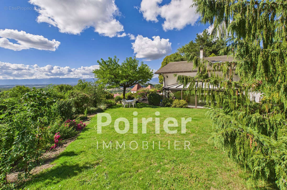 Maison à SAINT-CERGUES