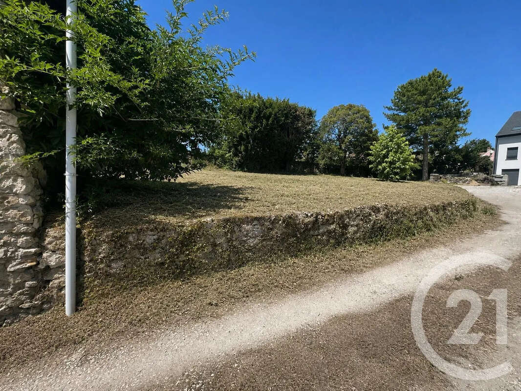 Terrain 253 m² à Juilly  - photo 3
