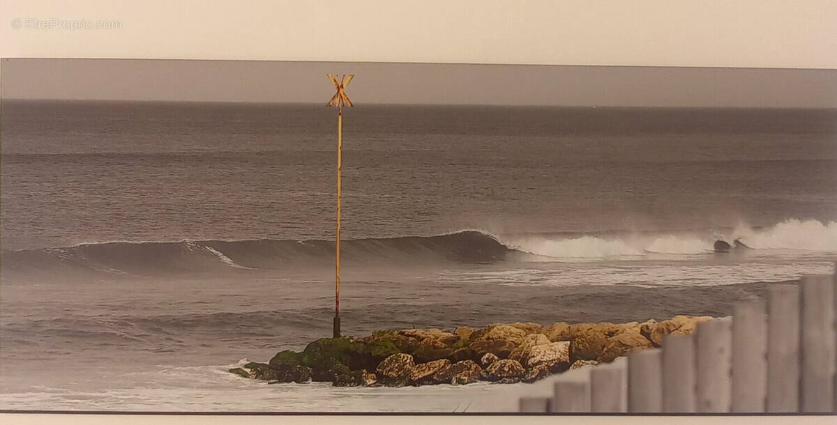 Commerce à VENDAYS-MONTALIVET