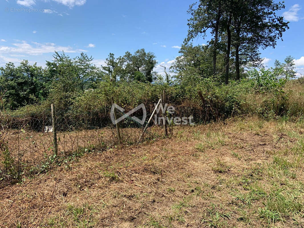 Terrain à LABASTIDE-MONREJEAU