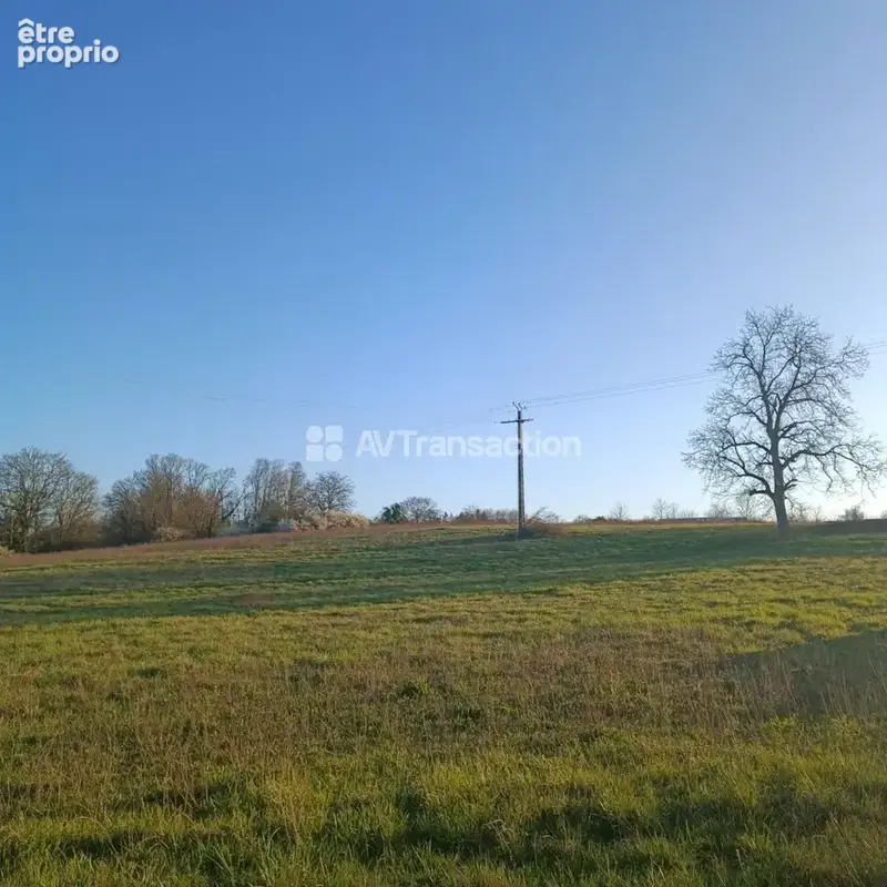 Terrain 958 m² à vendre à Gy (70700) - photo 4