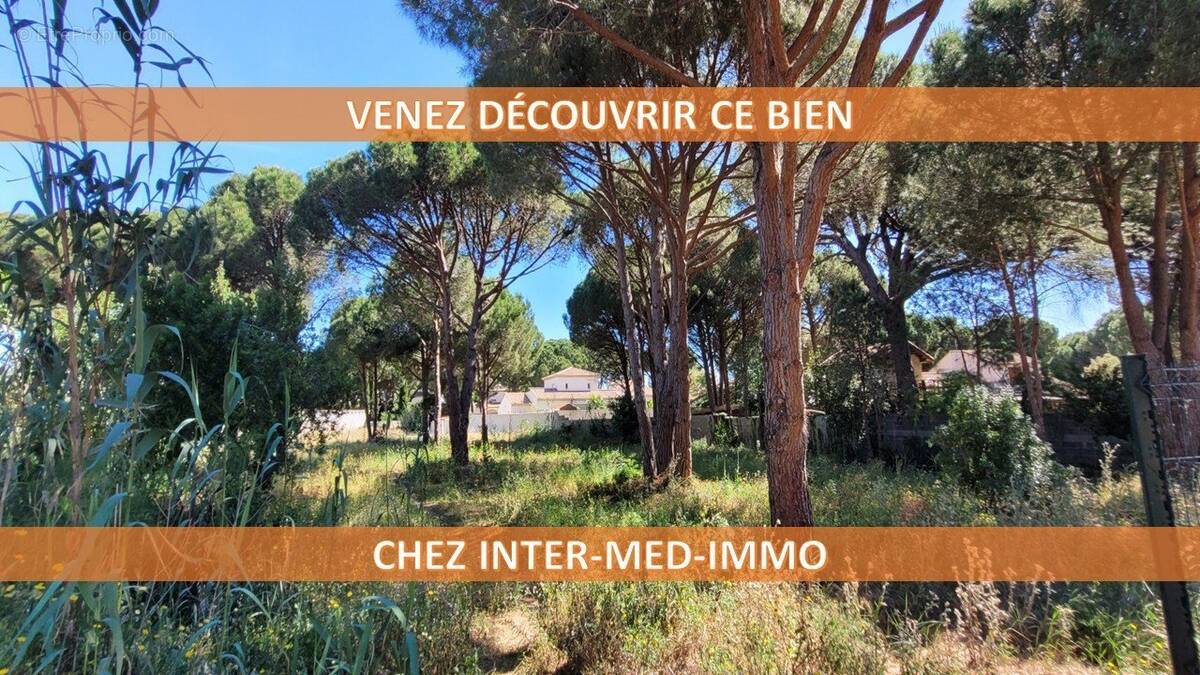 Terrain à AGDE