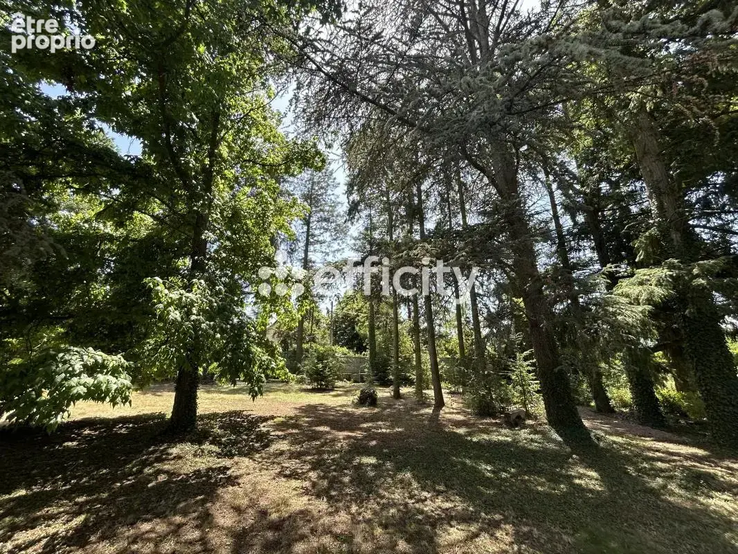 Maison traditionnelle - photo 24