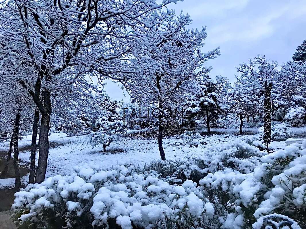 Maison à ESPARRON-DE-VERDON