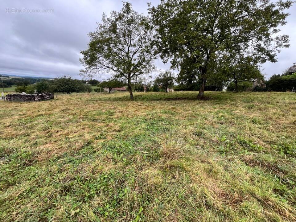 Terrain à BOISSET