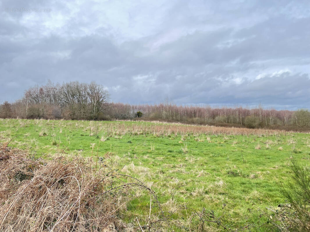 Terrain à LESTERPS