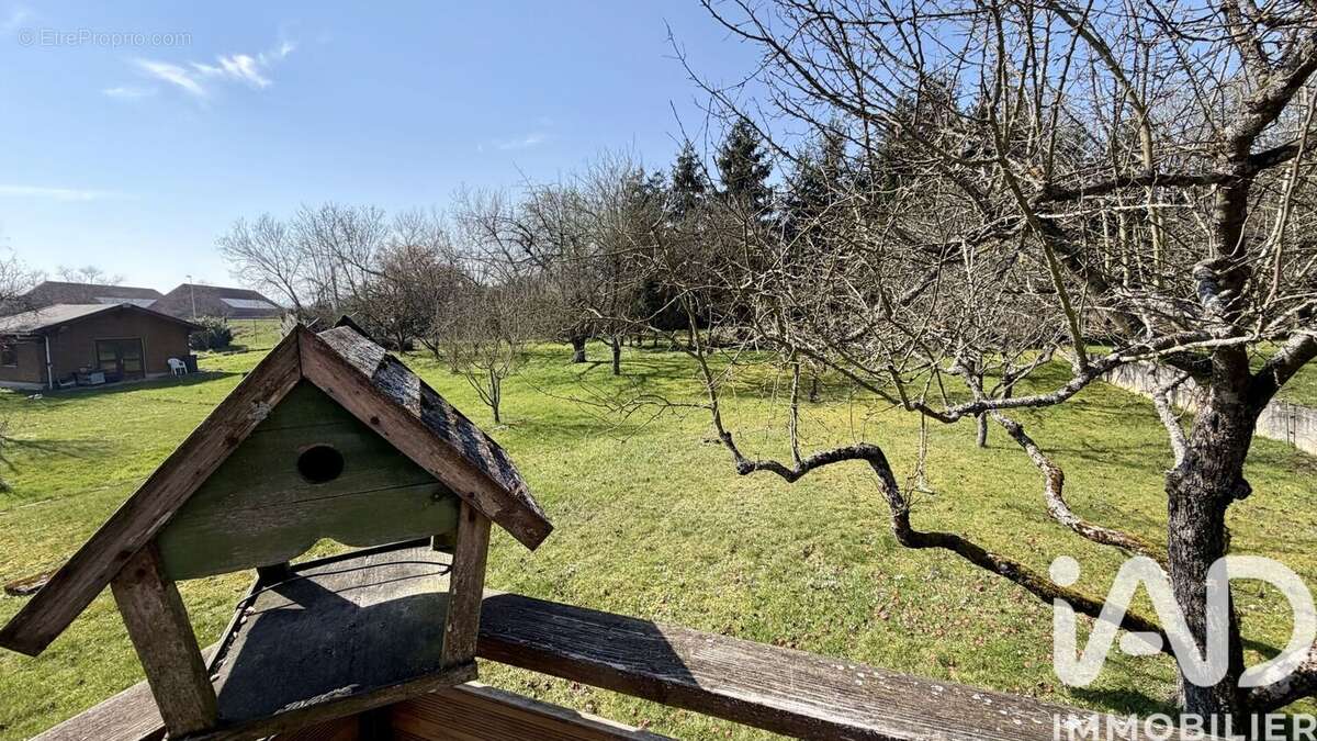 Photo 7 - Maison à SAVERNE