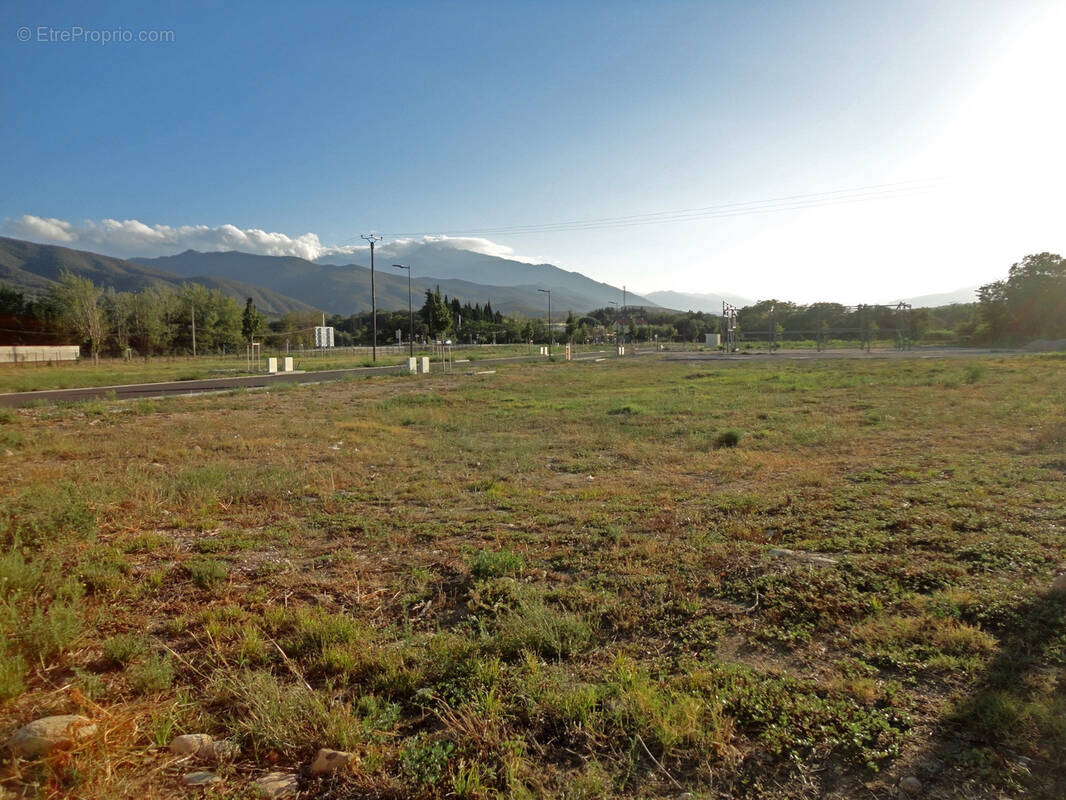 Terrain à ILLE-SUR-TET