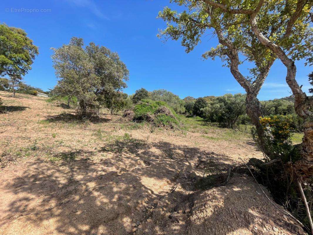 Terrain à FIGARI