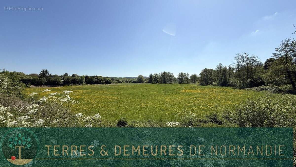 Maison à OSMOY-SAINT-VALERY