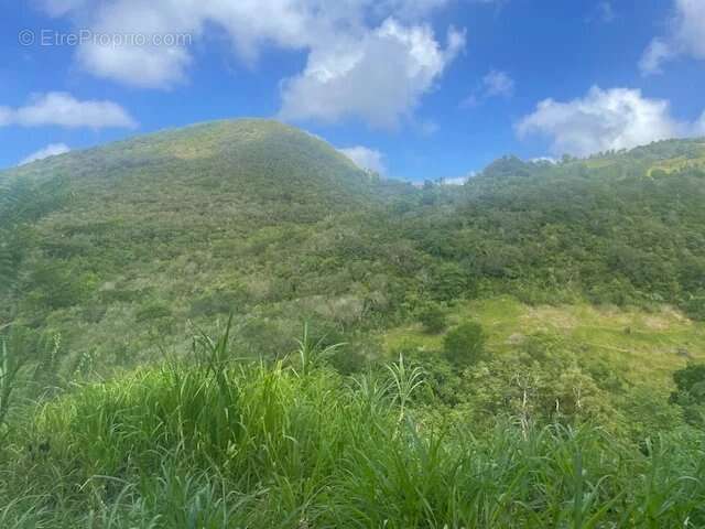 Beau Terrain de 922 m² A Vendre - photo 5