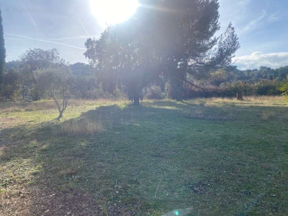 Terrain 770 m² à Charleval  - photo 2