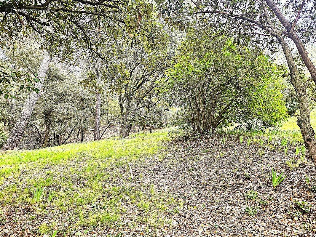 Terrain à SAINT-CLEMENT-DE-RIVIERE